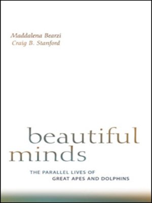 cover image of Beautiful Minds